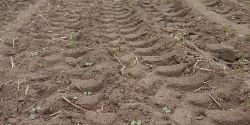 Photo of a tyre track on an arable.