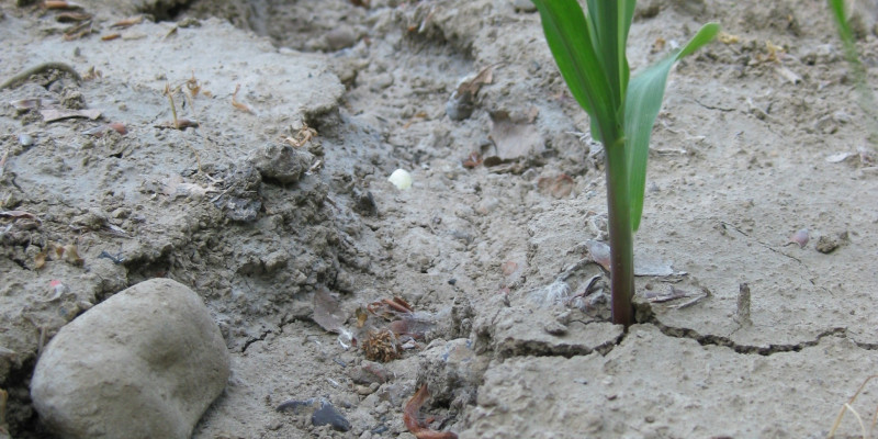 Photo of an extreme form of erosion.