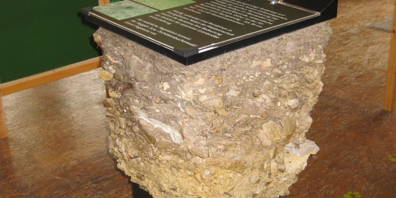 Photo of a soil monolith