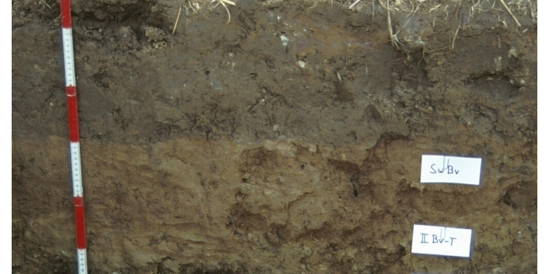 A soil profile with differently coloured layers of brown earth.