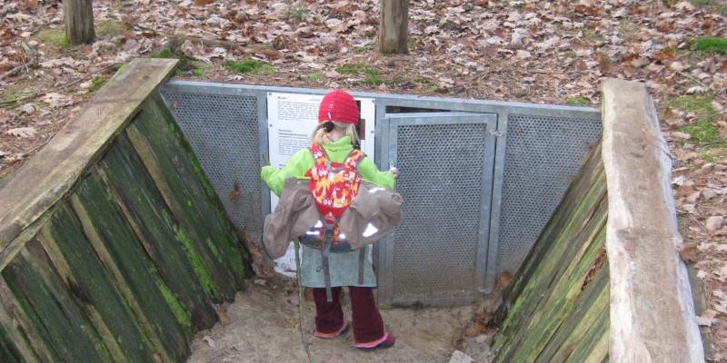 Child in front of a soil profile.