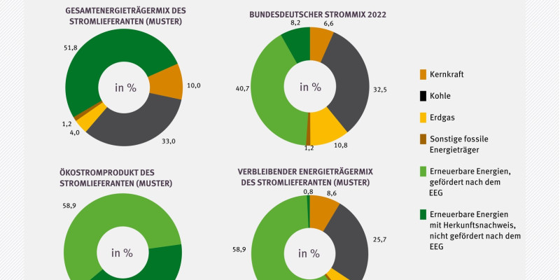 Die Grafik zeigt vier Kreisdiagramme mit verschiedenen Arten von Strommixen