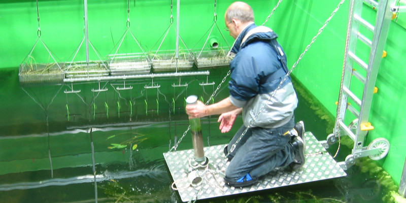 sampling routine of sediment