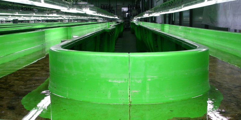 Green artificial channel through which water flows
