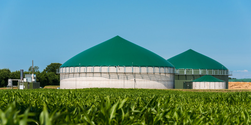 Biogasanlage, davor ein Maisfeld