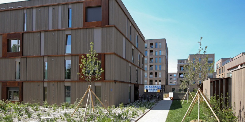 Quartier aus modernen 4-stöckigen Holzbauten
