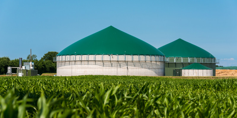 Biogasanlage, im Vordergrund ein Maisfeld