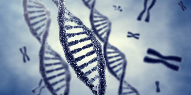 DNA stylised