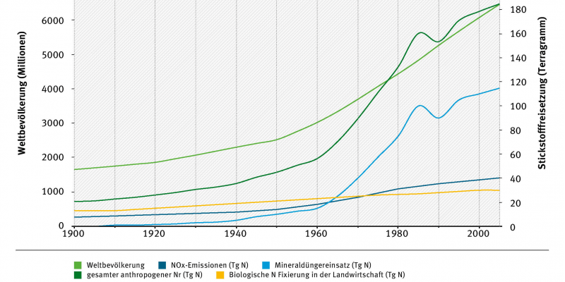 Die Kurven "Weltbevölkerung", "gesamter anthropogener Nr (Tg N) und "Mineraldüngereinsatz (Tg N) steigen seit dem Jahr 1960 stark an. Die Kurven "NOx-Emissionen (Tg N)" und "Biologische Fixierung in der Landwirtschaft (Tg N)" steigen nur leicht.