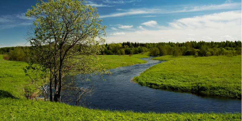 Flusslandschaft