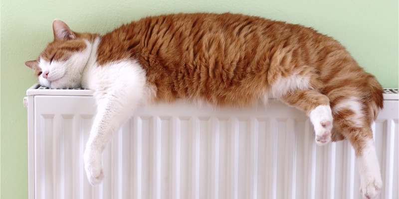 a cat is sleeping on a radiator
