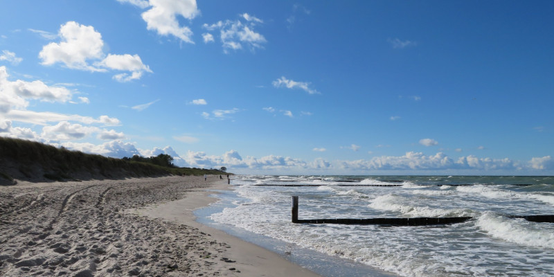 Ostseestrand mit Buhnen und blauem Himmel