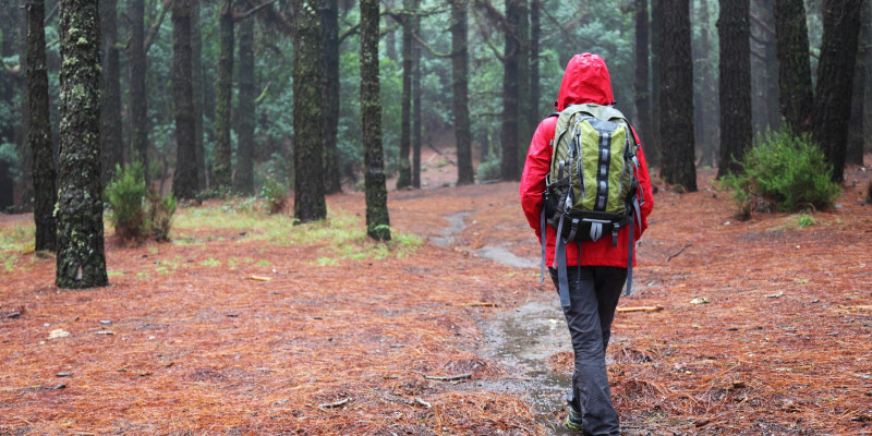 Wanderer mit roter Regenjacke und Rucksack wandert bei Regen durch einen Wald