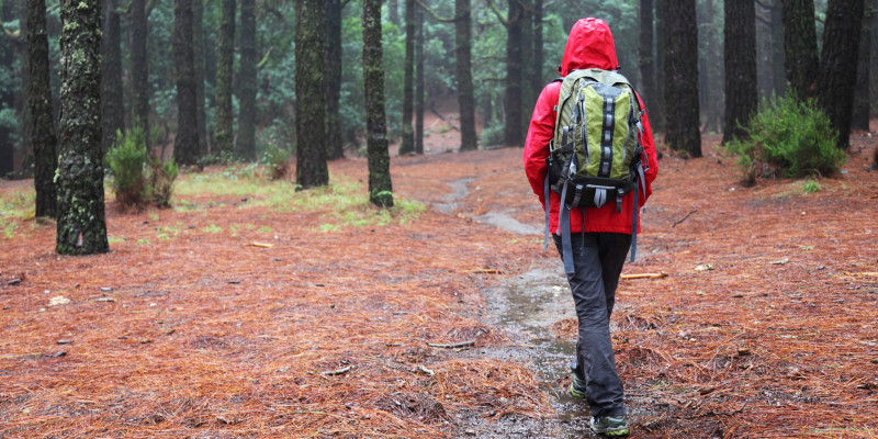 Wanderer mit einer roten Regenjacke und einem Rucksack läuft durch einen Wald bei Regen