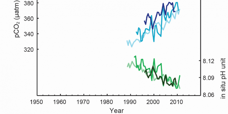 Kurvendiagramm für den Zeitraum 1990 bis 2013, Die atmosphärischen CO2-Konzentrationen steigen, die pH-Werte sinken