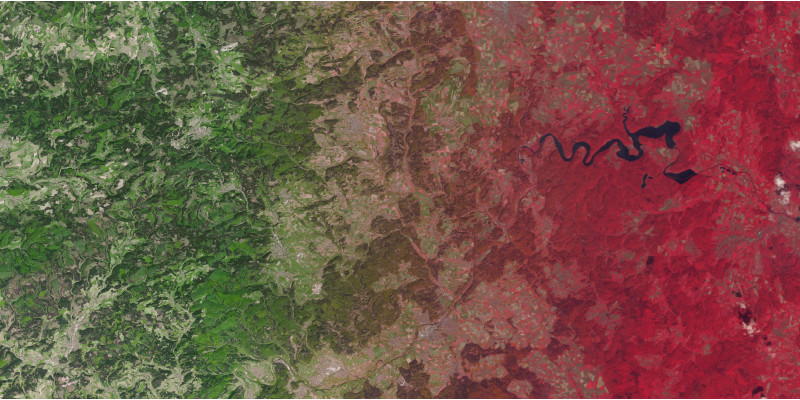 auf einem Luftbild sind Wälder zu sehen, der eine ist grünlich, der andere rötlich eingefärbt