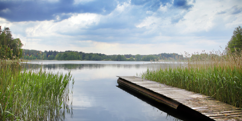 Lake with reed belt and jetty