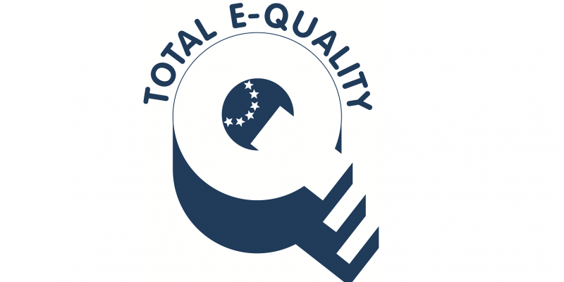 Logo: ein großes Q, bei dem der Querstrich ein Treppchen zum Podest, dem Kreis des Q, ist; darüber der Schriftzug "Total E-Quality"