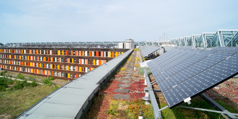 Four-storey office building with a façade made of wood and colourful glass elements; a photovoltaic system stands on the green roof