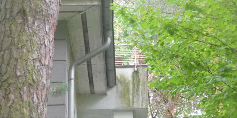 weiße Hausfassade, unter einem Balkongeländer, wo häufig Wasser die Fassade herunterfließt, hat sich ein grüner Belag gebildet
