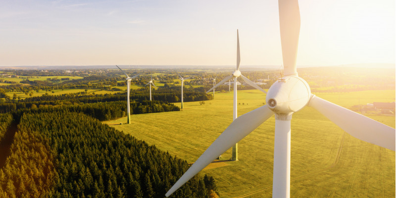 Windpark in einer sonnigen Landschaft