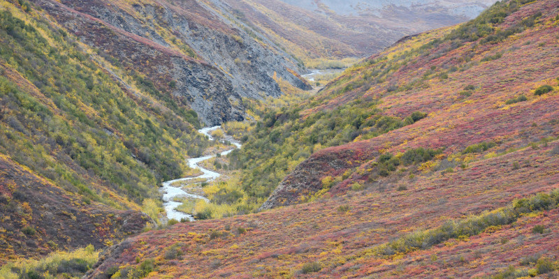 Farbenfrohe Herbstlandschaft in Alaska