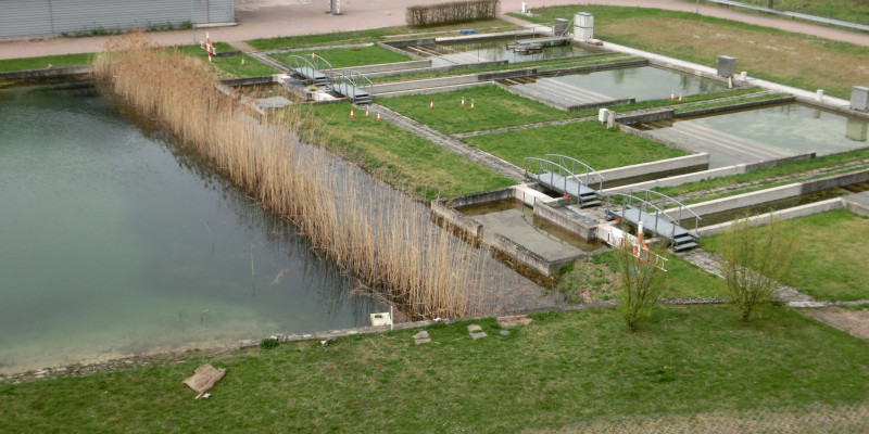 Ein größerer Teich und mehrere kleine Becken, dahinter ein Parkplatz und Gebäude