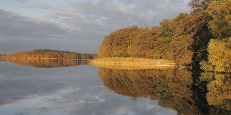 Blick über einen See im Abendlicht, das Laub der umliegenden Bäume ist bunt eingefärbt
