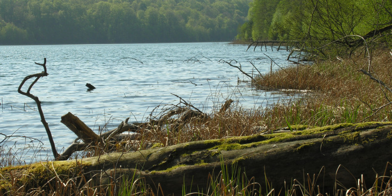 Blick über den Peetschsee