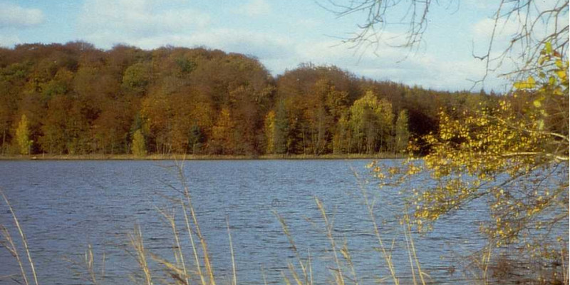 Blick über den Peetschsee