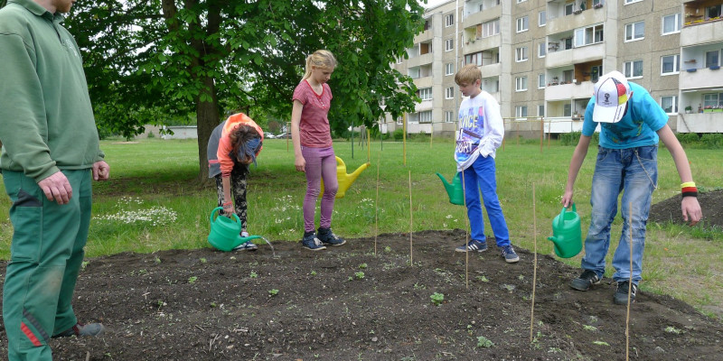 Kinder pflanzen in Dessau ein Blumenbeet.