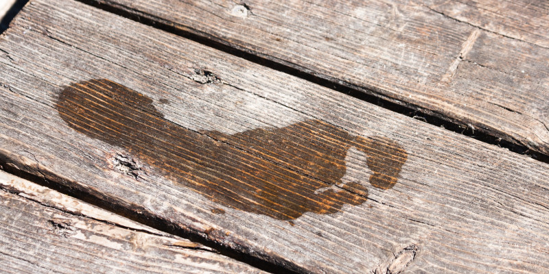 Abdruck eines nassen Fußes auf einem Bootssteg aus Holz