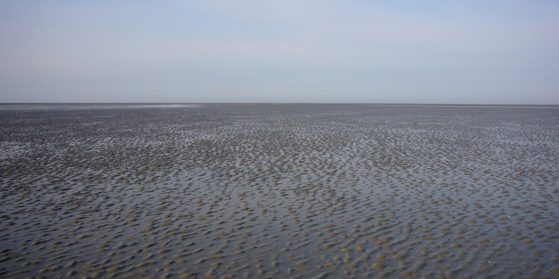 Wattenlandschaft „Hoher Weg“ bei Ebbe