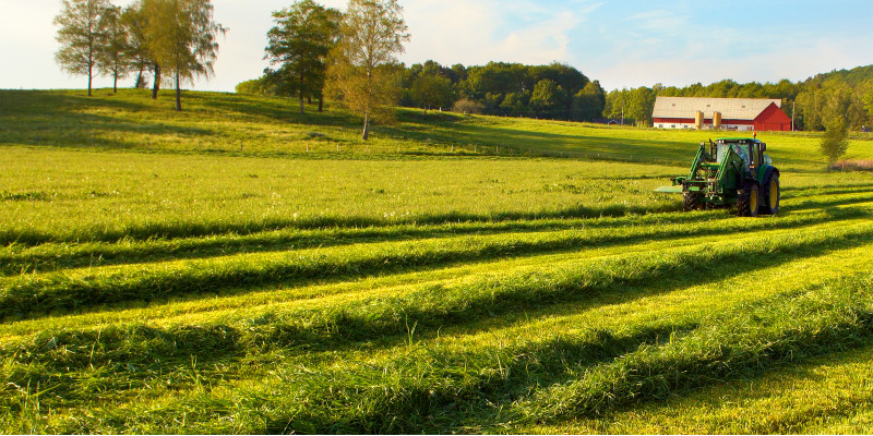 Pesticides are widely used