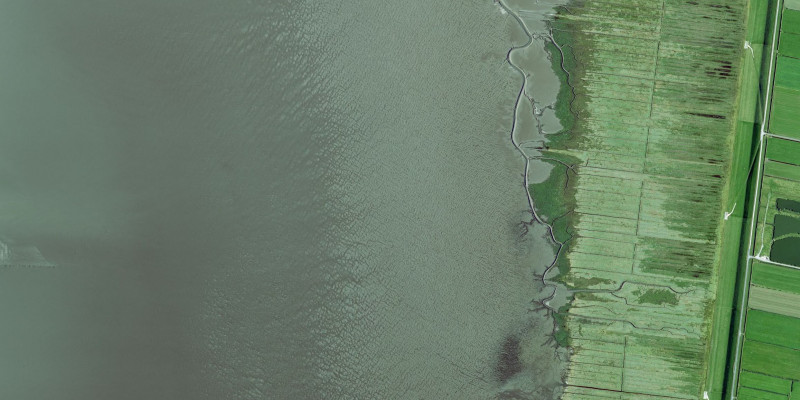 Luftbild Jadebusen, Küstenstreifen und Watt