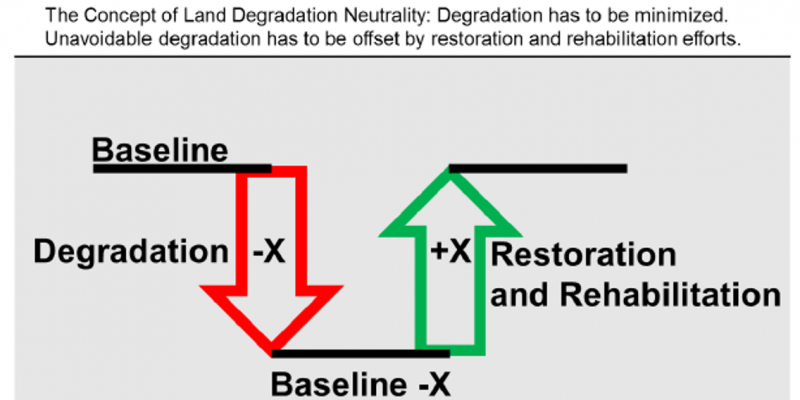 degradation neutrality Concept 