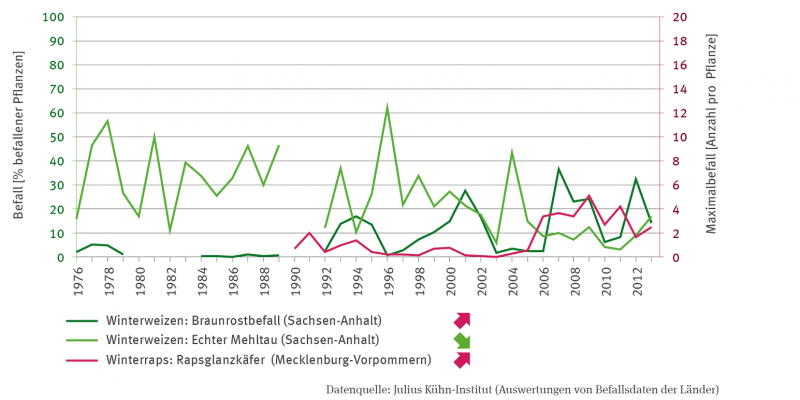 Die Linien-Grafik zeigt den Befall als Prozent befallener Pflanzen von Winterweizen und zwar den Braunrostbefall und den Befall mit Echtem Mehltau, beides für Sachsen-Anhalt.