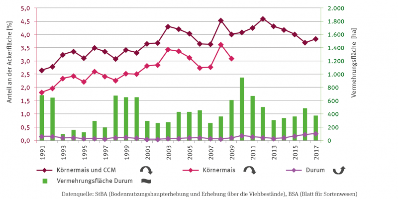 Dargestellt sind für 1991 bis 2017 als Linien die Anteile von Körnermais und CCM, Körnermais und Durum an der Ackerfläche in Prozent.