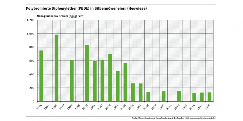 Silbermöweneier von der Ostsee-Insel Heuwiese weisen hohe Konzentrationen an den bromierten Flammschutzmitteln PBDE auf. Seit Mitte der 1990er Jahre ist die Belastung aber um etwa 85 Prozent gesunken.
