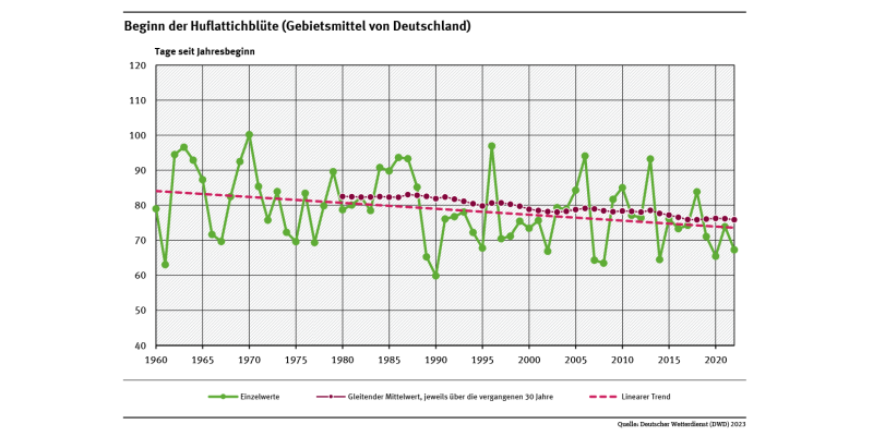Das Liniendiagramm zeigt den Zeitpunkt des Blühbeginns beim Huflattich (Tage ab Jahresbeginn, Gebietsmittel für Deutschland) in den Jahren von 1960 bis 2021. Der lineare Trend belegt, dass sich dieser immer mehr verfrüht.