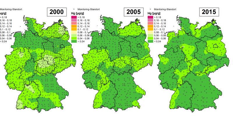 Die Grafik zeigt die Höhe der Bioakkumulation von Quecksilber und Entwicklung dieser Konzentration von 1995 bis 2015/16 in Deutschland.