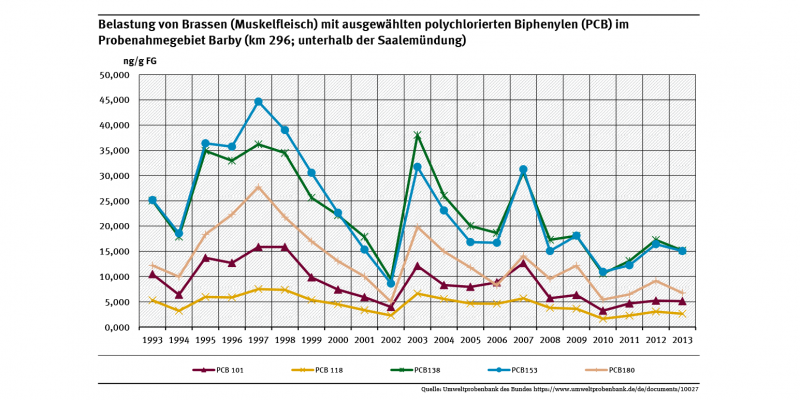 Polychlorierte Biphenyl (PCB)-Belastungen in Muskelfleisch von Brassen im Mündungsgebiet der Saale in die Elbe in Sachsen-Anhalt zeigte einen abnehmenden Trend, der 2003 unterbrochen wurde, Ursache könnte das Augusthochwasser der Elbe 2002 gewesen sein.