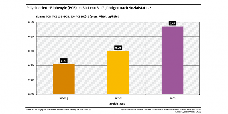 Die Abbildung zeigt, dass je höher der Sozialstatus einer Familie war, desto höher war der Gehalt polychlorierter Biphenyle (PCB) im Blut ihrer 7- bis 14-jährigen Kinder. 