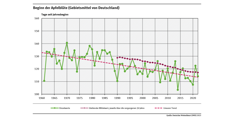Das Liniendiagramm zeigt den Zeitpunkt des Blühbeginns bei Apfel (Tage ab Jahresbeginn, Gebietsmittel für Deutschland) seit 1961. Der lineare Trend zeigt, dass sich der Zeitpunkt tendenziell in Richtung Jahresbeginn verschiebt.