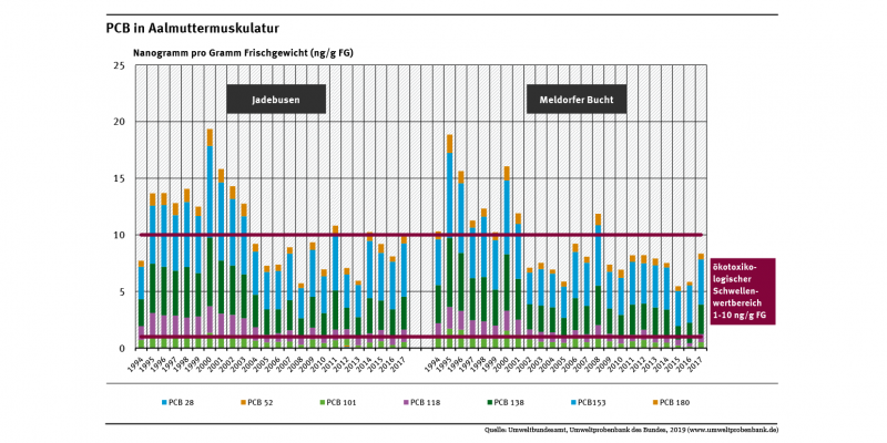 Der Gehalt an sieben polychlorierten Biphenylen in Aalmuttern aus dem Jadebusen und der Meldorfer Bucht nahmen im Beobachtungszeitraum zwischen den Jahren 1994 bis 2017 generell um 10 beziehungsweise knapp 50 Prozent ab.