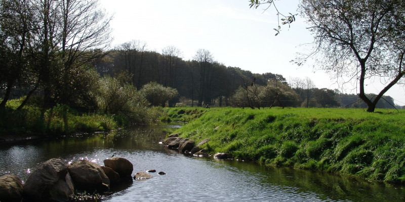 Idyllisches Flussufer in sanftem Licht