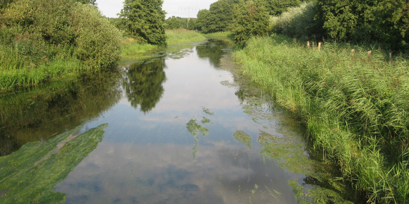 Ein Fluss mit grünem Ufer rechts und links bei dunstigem Wetter
