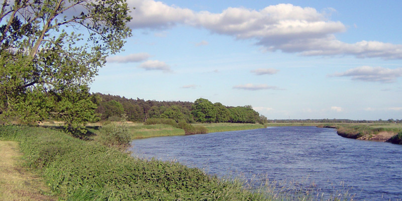 Die Biegung eines großen Flusses mit grünem Uferbewuchs