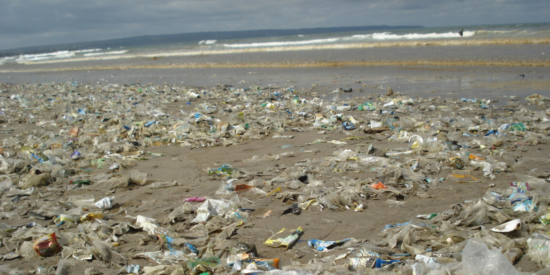 a beach full of plastic garbage