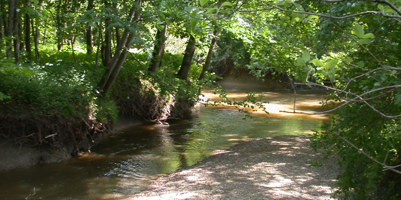 Kleiner Bach mit kleiner Sandbank und am Ufer stehen viele grüne Laubbäume